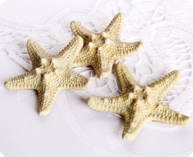 Силиконовый молд морской звезды М167/2 фото